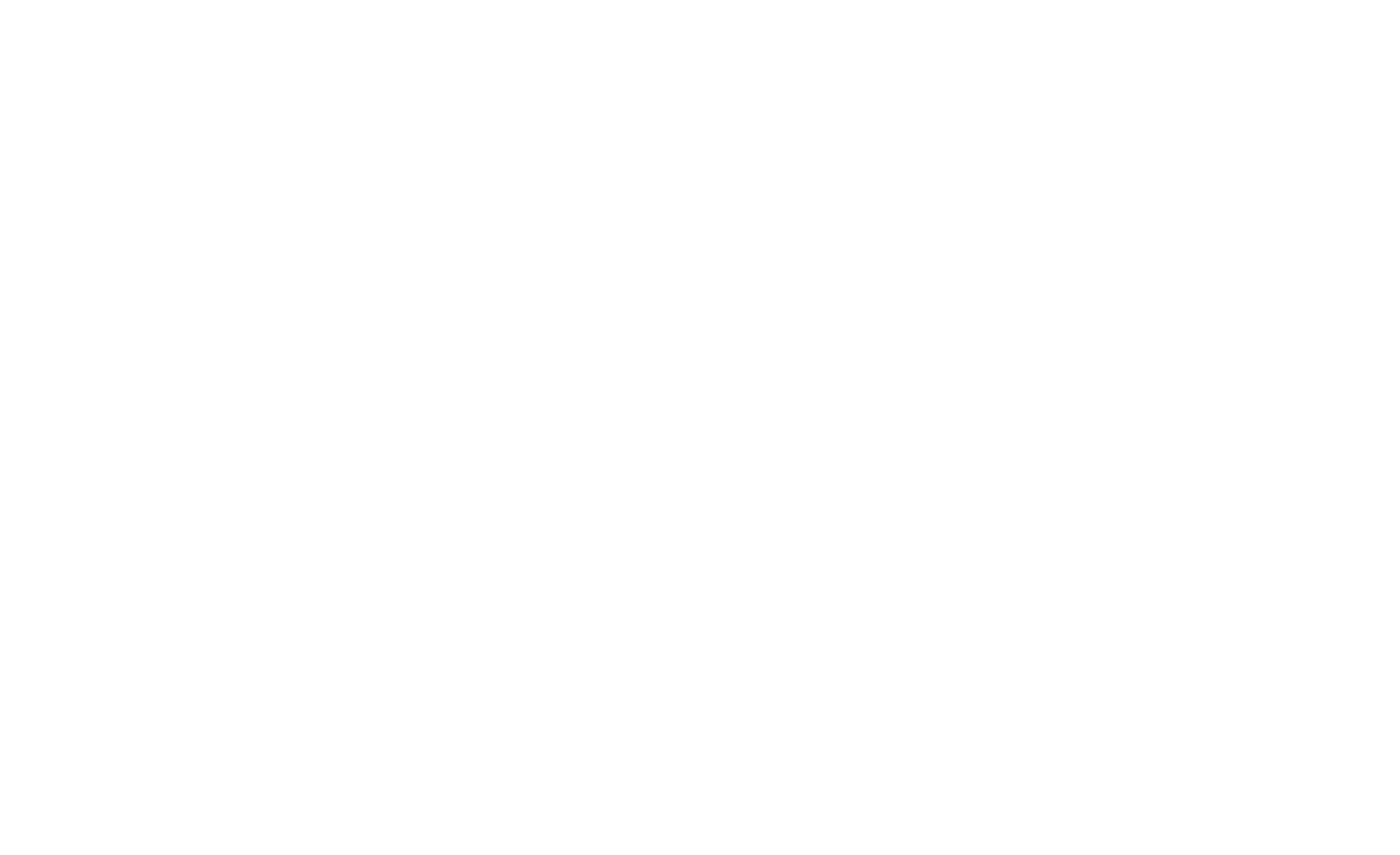 Spiral Tribe Logo